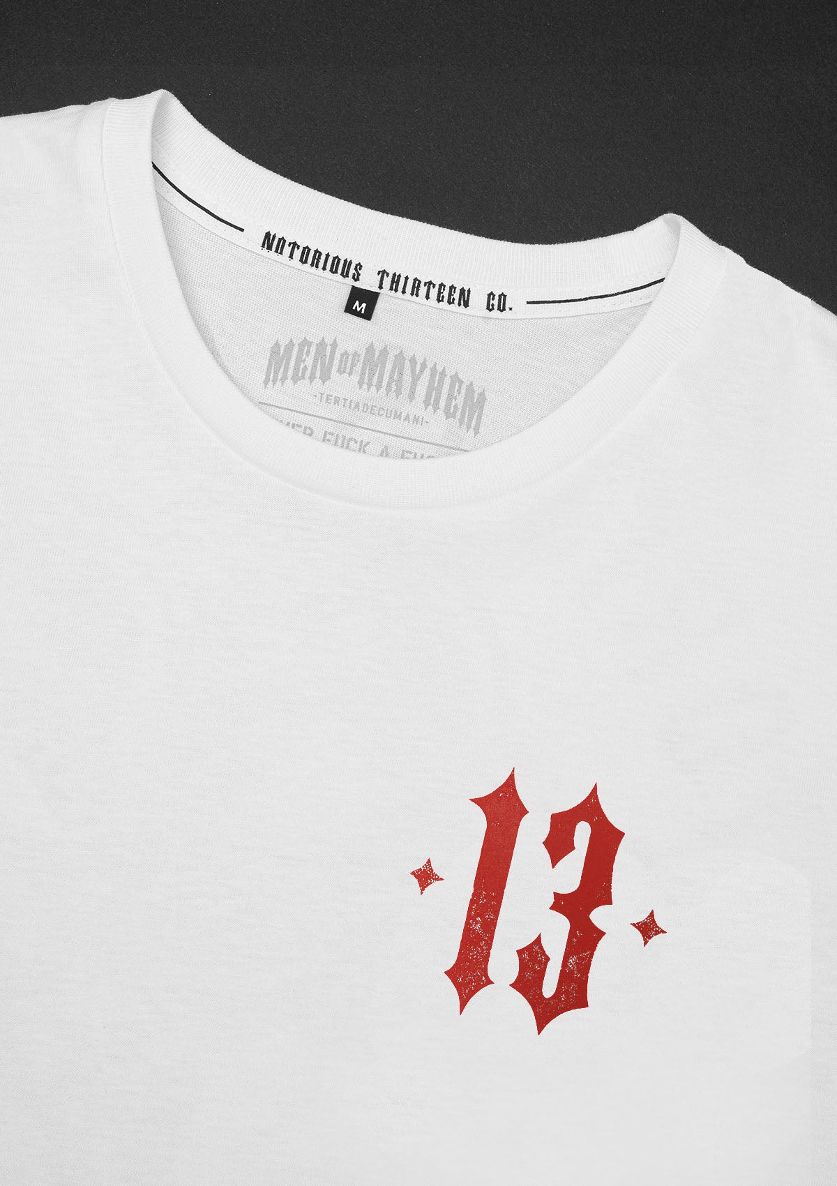 T-Shirt Mayhem Eagle L.F.S.H. W/R - MEN OF MAYHEM - ALAIKO-EXCHANGES-MM-M-1010-ME-LF-WR - Men - Neu