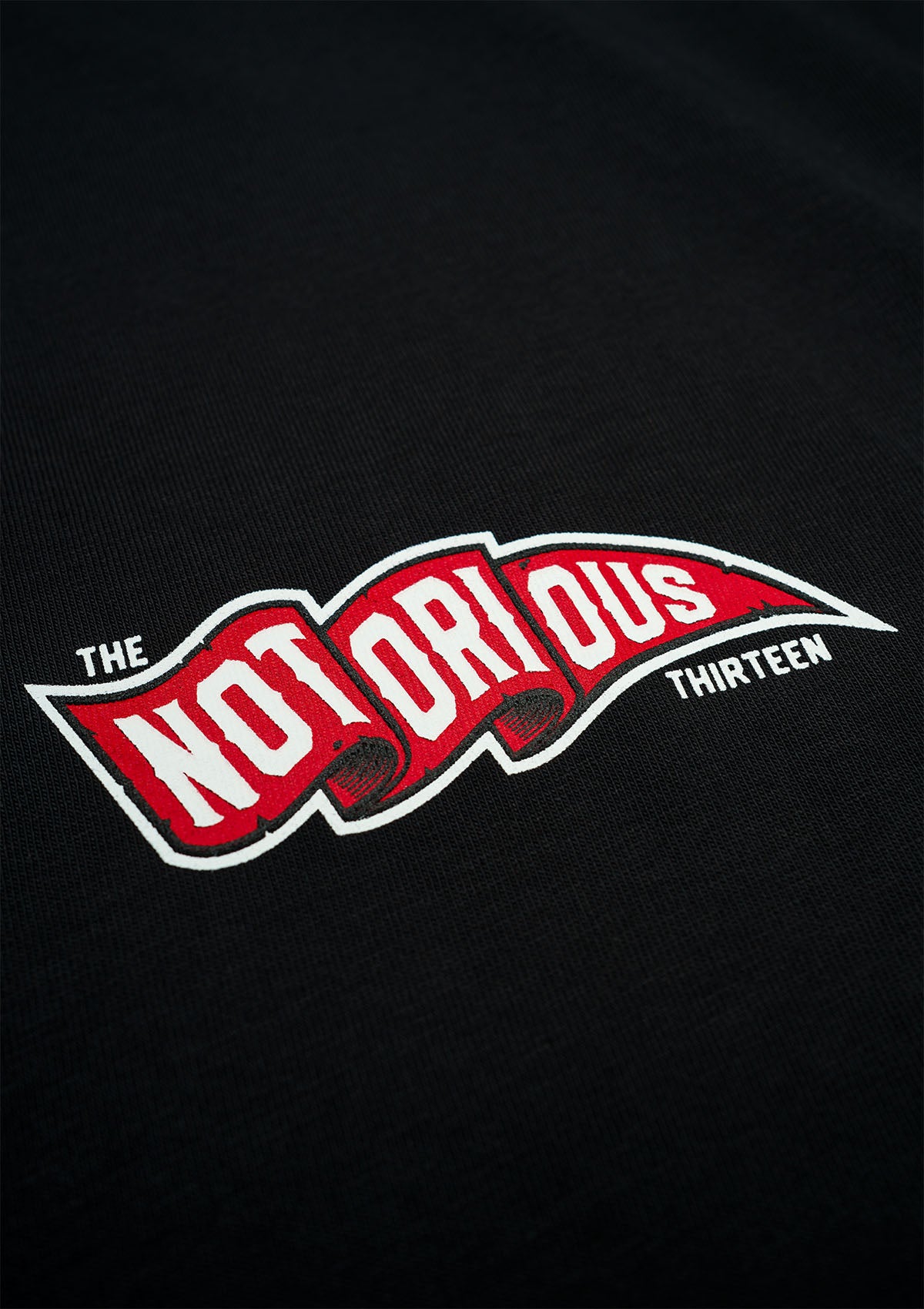 T-Shirt TNT FLAG B/R/W - MEN OF MAYHEM - ALAIKO - EXCHANGES - MM - M - 1010 - TNT - F - BRW - black - Mayhem weekend - NEW