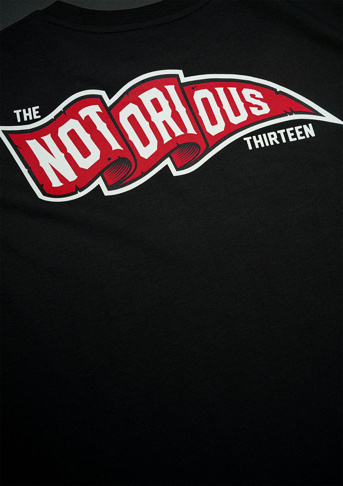 T-Shirt TNT FLAG B/R/W - MEN OF MAYHEM - ALAIKO - EXCHANGES - MM - M - 1010 - TNT - F - BRW - black - Mayhem weekend - NEW