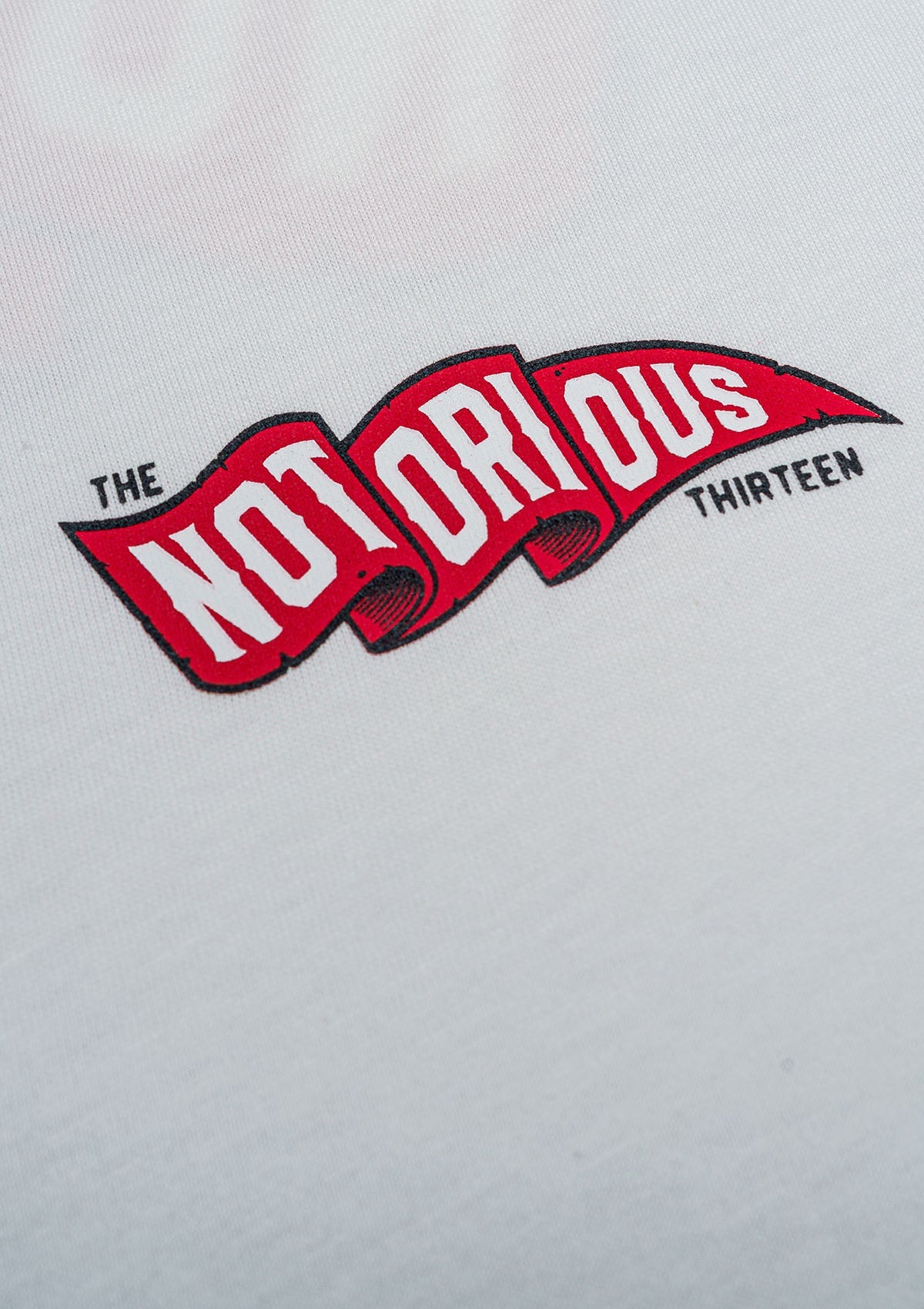 T-Shirt TNT FLAG OW/R/W - MEN OF MAYHEM - ALAIKO - EXCHANGES - MM - M - 1010 - TNT - F - OWRW - Mayhem weekend - NEW - Men