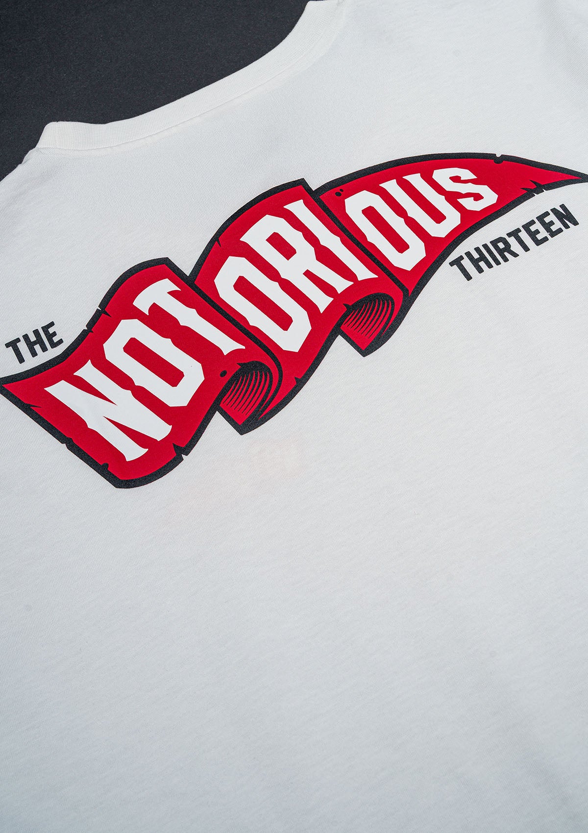 T-Shirt TNT FLAG OW/R/W - MEN OF MAYHEM - ALAIKO - EXCHANGES - MM - M - 1010 - TNT - F - OWRW - Mayhem weekend - NEW - Men