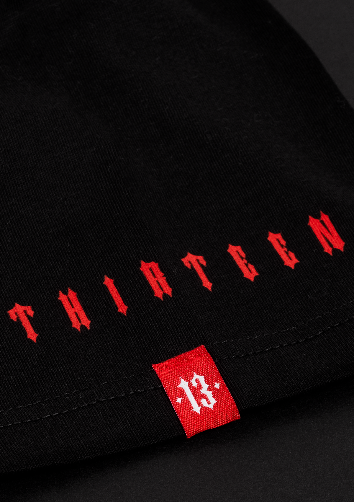 T-Shirt Notorious Thirteen S/R