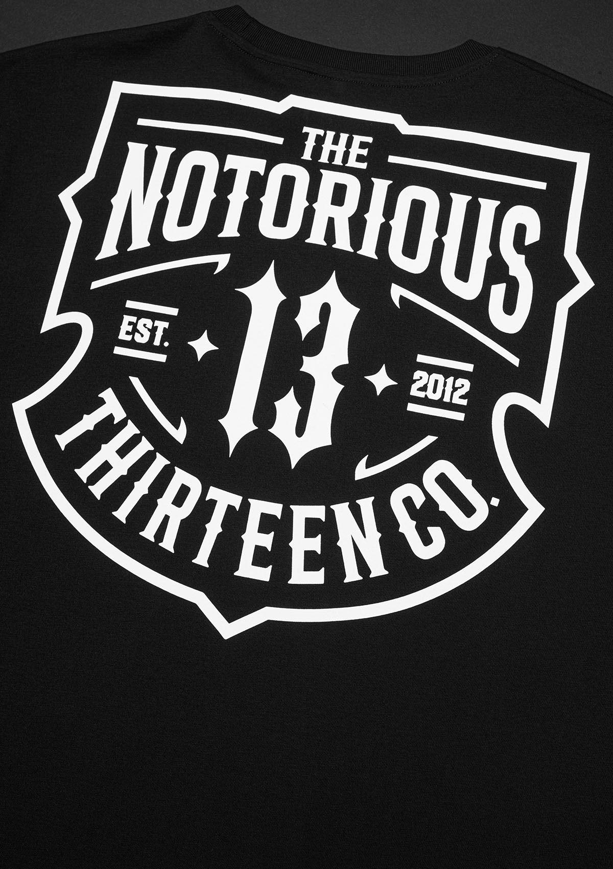 T-shirt TNT Shield S/W