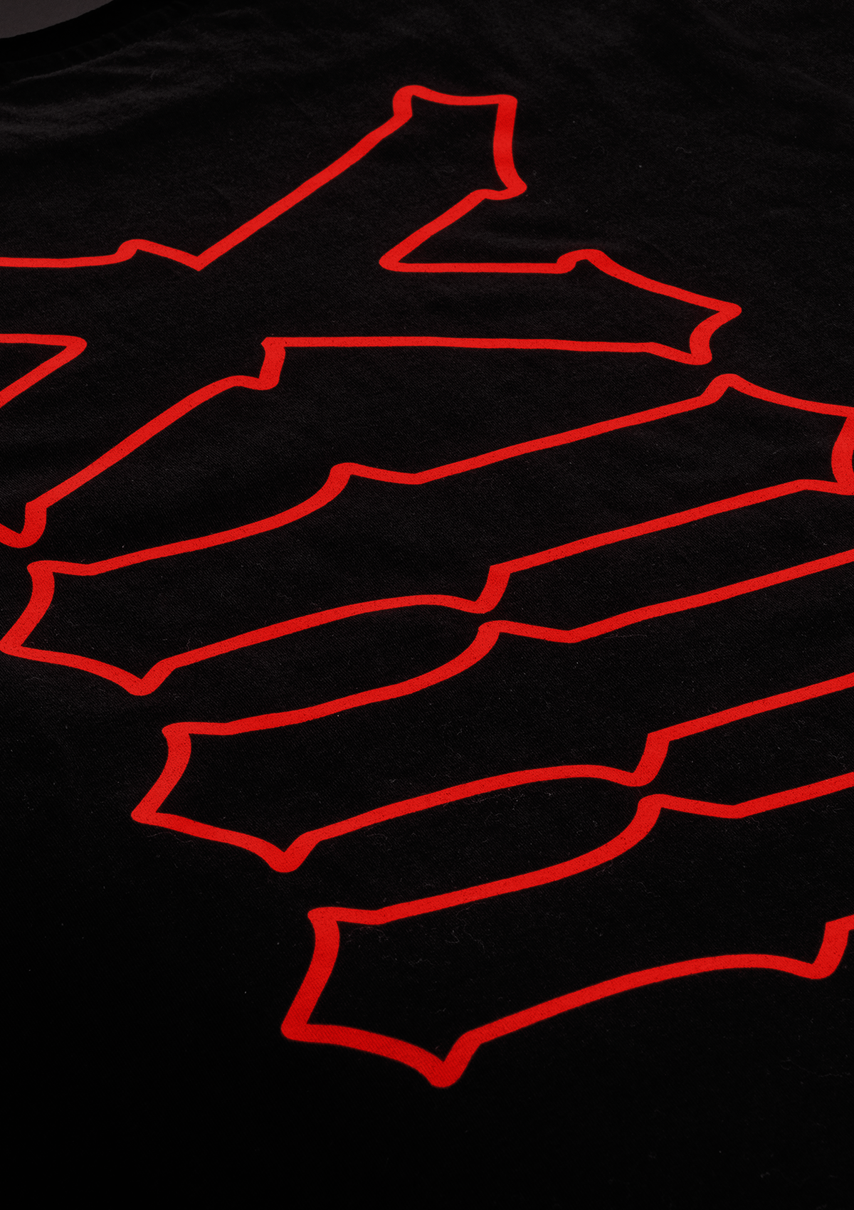 T-Shirt Notorious Thirteen S/R