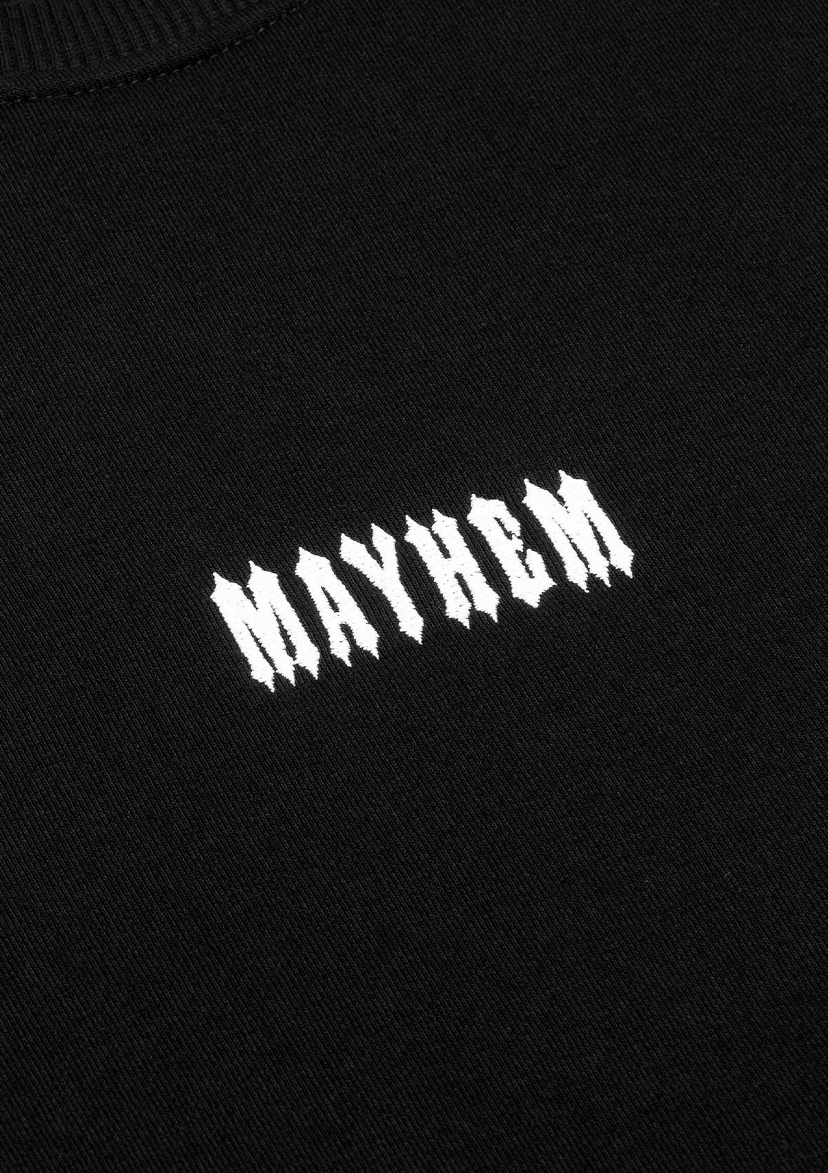 Crewneck Notorious Thirteen S/W